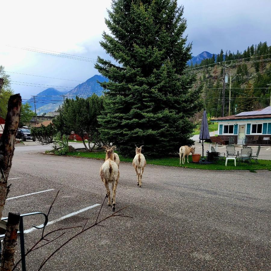 Lido Motel Radium Hot Springs Dış mekan fotoğraf
