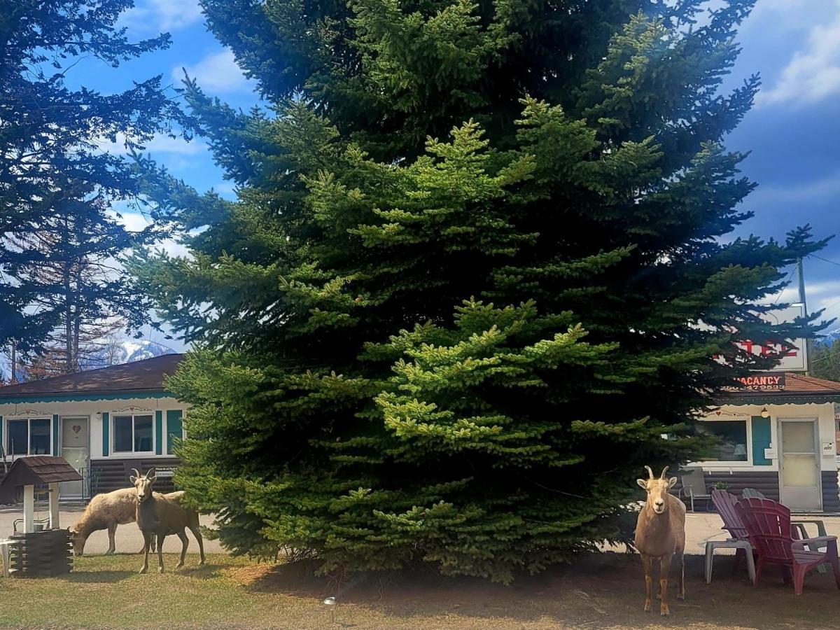 Lido Motel Radium Hot Springs Dış mekan fotoğraf