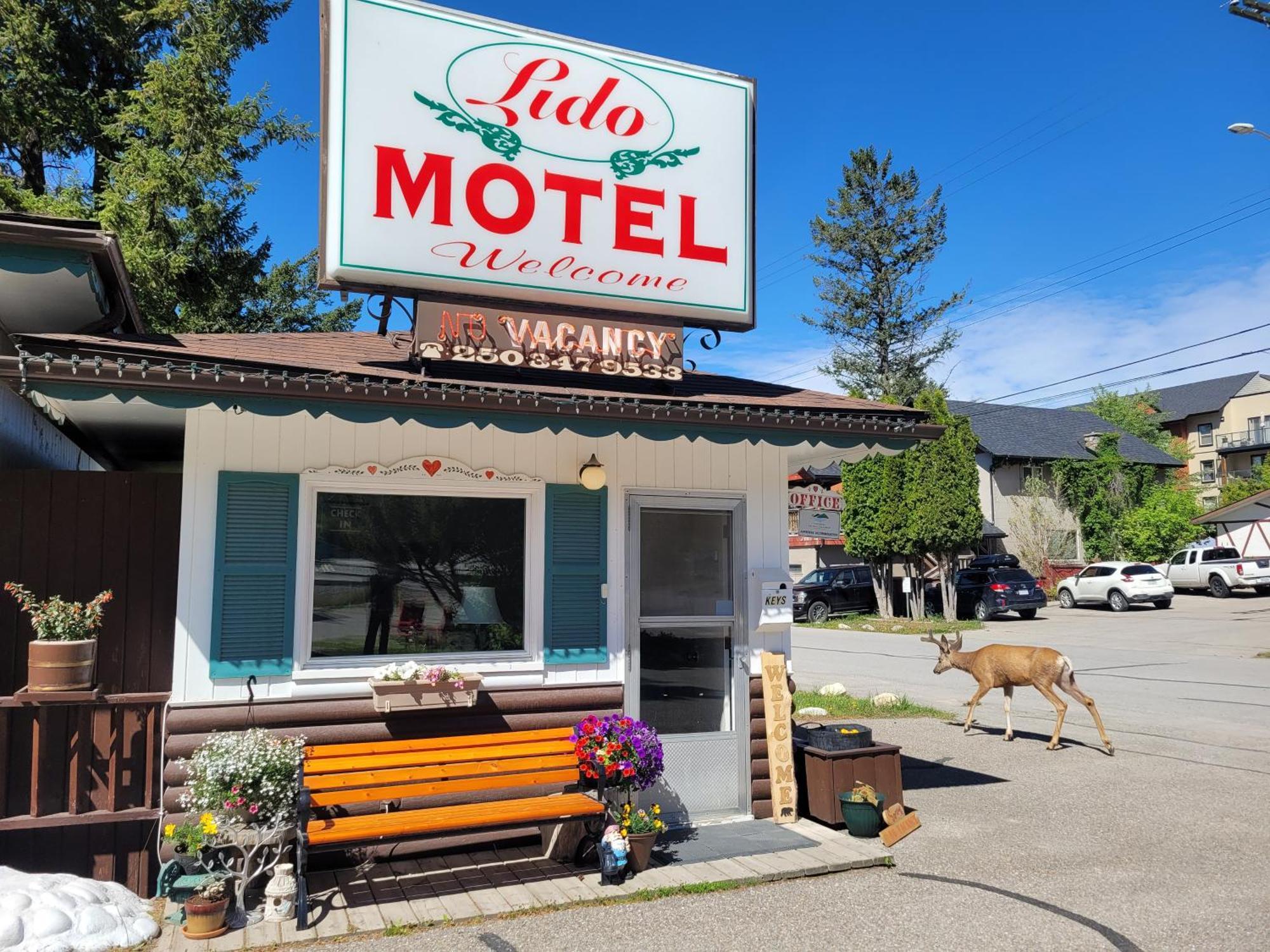 Lido Motel Radium Hot Springs Dış mekan fotoğraf