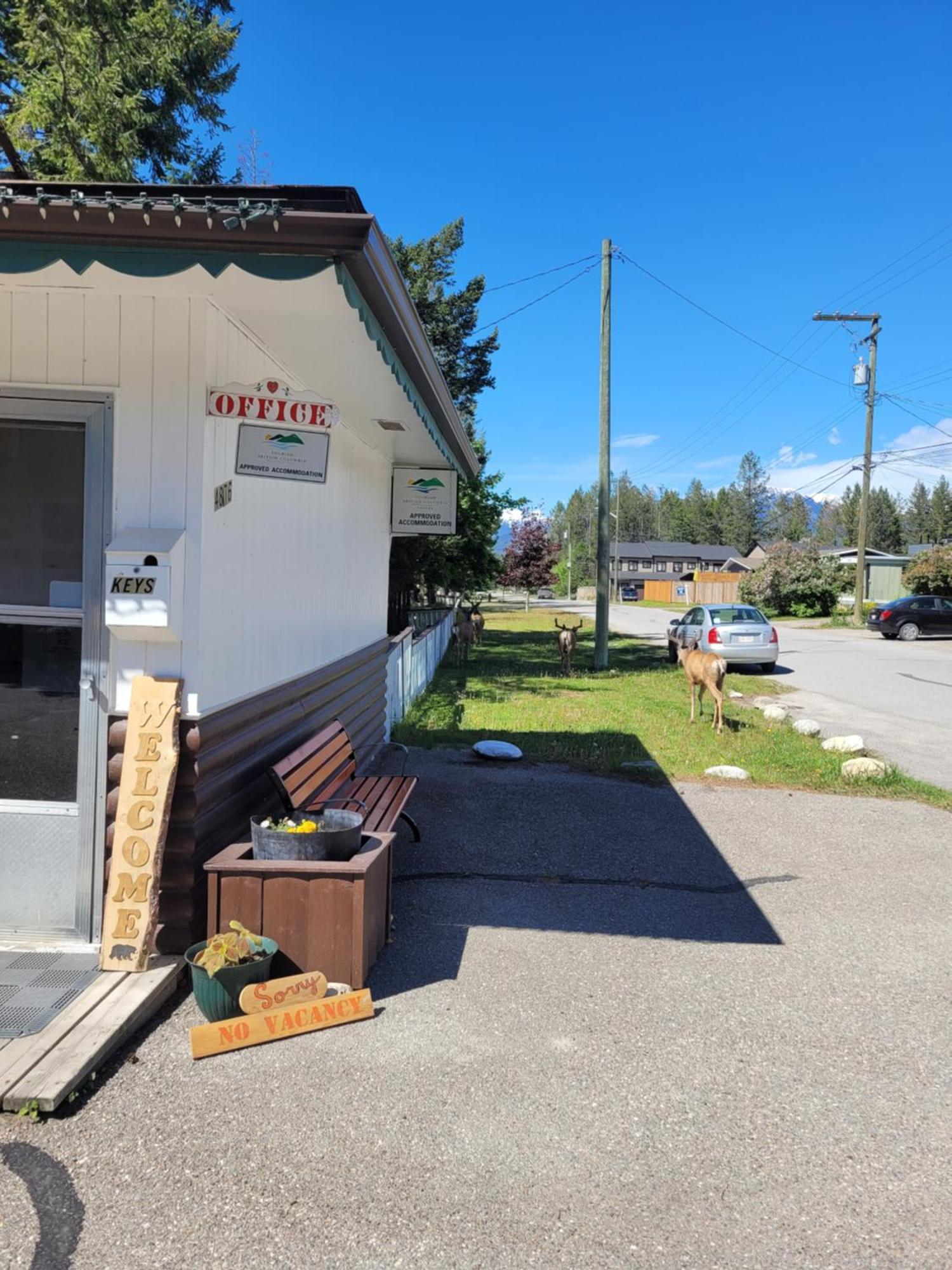Lido Motel Radium Hot Springs Dış mekan fotoğraf
